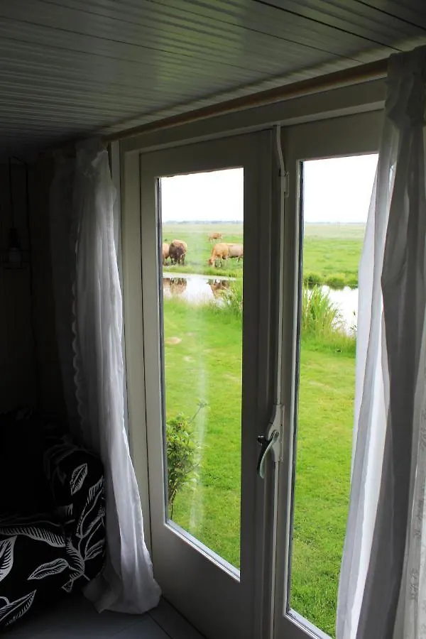 Bed And Stay Amsterdam Bed & Breakfast